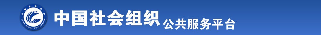 www.17c.con最新网址全国社会组织信息查询